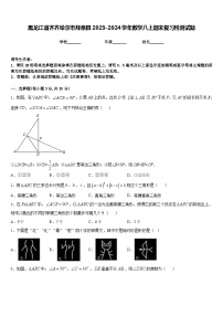 黑龙江省齐齐哈尔市拜泉县2023-2024学年数学八上期末复习检测试题含答案