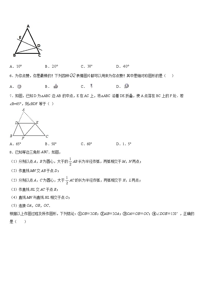 黑龙江省齐齐哈尔市拜泉县2023-2024学年数学八上期末复习检测试题含答案02