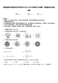 陕西省西安市雁塔区电子科技中学2023-2024学年数学八年级第一学期期末综合测试试题含答案