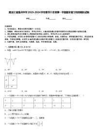 黑龙江省重点中学2023-2024学年数学八年级第一学期期末复习检测模拟试题含答案