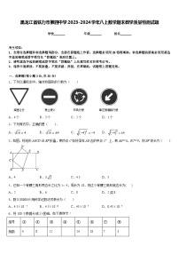 黑龙江省铁力市第四中学2023-2024学年八上数学期末教学质量检测试题含答案