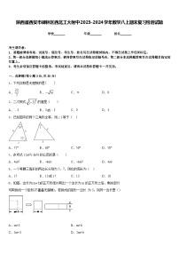 陕西省西安市碑林区西北工大附中2023-2024学年数学八上期末复习检测试题含答案