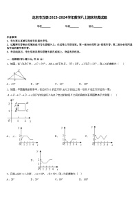 龙岩市五县2023-2024学年数学八上期末经典试题含答案