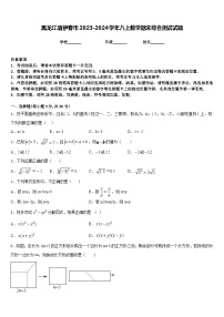 黑龙江省伊春市2023-2024学年八上数学期末综合测试试题含答案