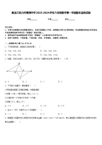 黑龙江铁力市第四中学2023-2024学年八年级数学第一学期期末监测试题含答案