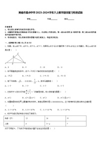 黄南市重点中学2023-2024学年八上数学期末复习检测试题含答案