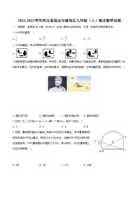 2022-2023学年河北省保定市清苑区九年级（上）期末数学试卷（含解析）