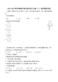 2022-2023学年河南省开封市通许县九年级（上）期末数学试卷（含解析）