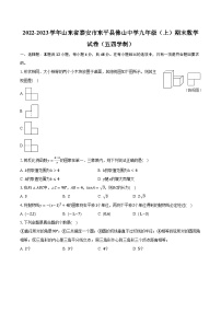 2022-2023学年山东省泰安市东平县佛山中学九年级（上）期末数学试卷（五四学制）(含解析）