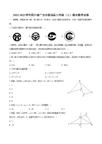 2022-2023学年四川省广安市岳池县八年级（上）期末数学试卷(含解析）