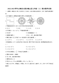 2022-2023学年云南省玉溪市峨山县九年级（上）期末数学试卷(含解析）