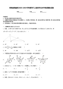 青海省海南州2023-2024学年数学八上期末学业水平测试模拟试题含答案