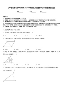 辽宁省沈阳七中学2023-2024学年数学八上期末学业水平测试模拟试题含答案