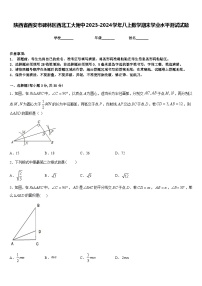 陕西省西安市碑林区西北工大附中2023-2024学年八上数学期末学业水平测试试题含答案