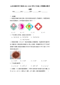 山东省德州市宁津县2021-2022学年八年级上学期期末数学试题