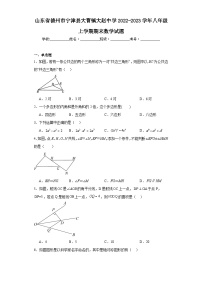 山东省德州市宁津县大曹镇大赵中学2022-2023学年八年级上学期期末数学试题