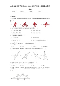 山东省德州市平原县2022-2023学年八年级上学期期末数学试题