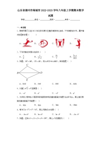 山东省德州市禹城市2022-2023学年八年级上学期期末数学试题