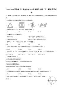 2022-2023学年黑龙江省齐齐哈尔市克东县九年级（上）期末数学试卷(含解析）