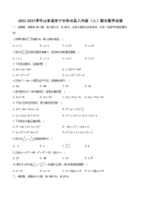 2022-2023学年山东省济宁市鱼台县八年级（上）期末数学试卷(含解析）