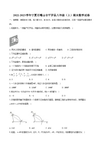 2022-2023学年宁夏石嘴山市平罗县八年级（上）期末数学试卷(含解析）