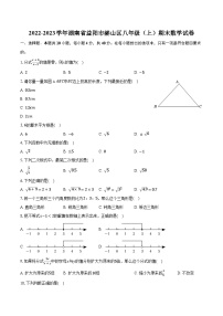 2022-2023学年湖南省益阳市赫山区八年级（上）期末数学试卷(含解析）