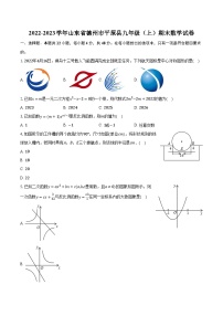 2022-2023学年山东省德州市平原县九年级（上）期末数学试卷(含解析）