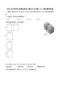 2022-2023学年江西省宜春市丰城九中九年级（上）期末数学试卷(含解析）