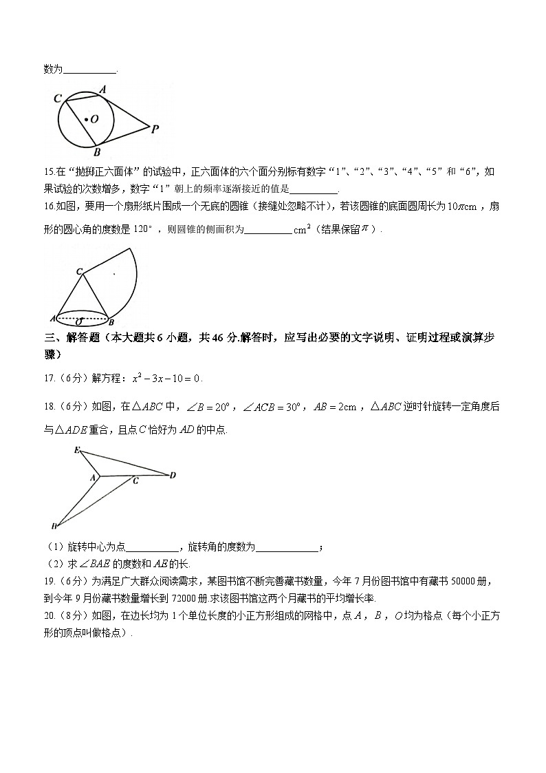 甘肃省陇南市武都区2023-2024学年九年级上学期期末数学试题03