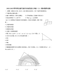 2022-2023学年河北省石家庄市高邑县九年级（上）期末数学试卷（含详细答案解析）