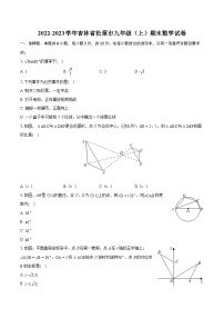 2022-2023学年吉林省松原市九年级（上）期末数学试卷（含详细答案解析）