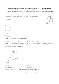 2023-2024学年辽宁省沈阳市大东区九年级（上）期末数学试卷（含详细答案解析）