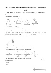 2023-2024学年吉林省吉林市蛟河市三校联考九年级（上）期末数学试卷（含详细答案解析）