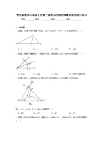 青岛版数学八年级上册第二章图形的轴对称期末章节提升练习