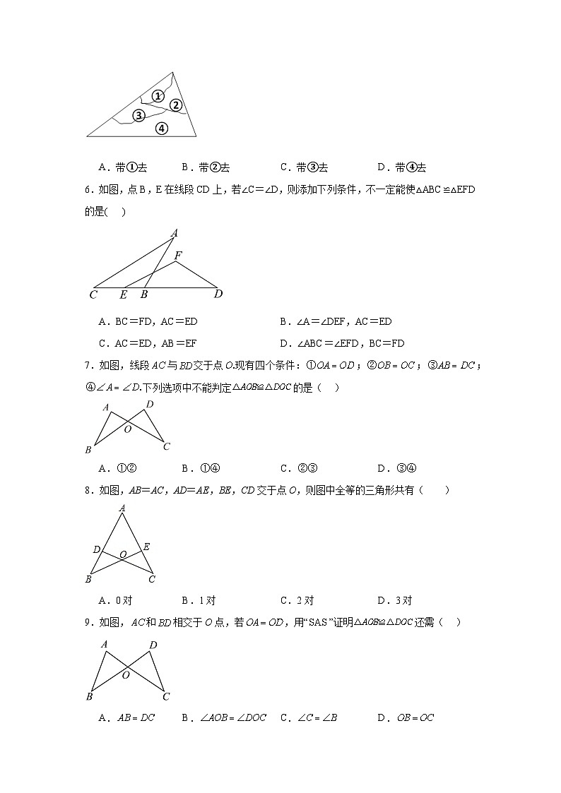 青岛版数学八年级上册第一章全等三角形期末章节基础练习02