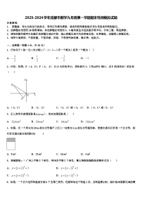 2023-2024学年成都市数学九年级第一学期期末检测模拟试题