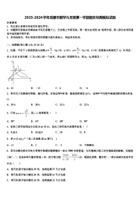 2023-2024学年成都市数学九年级第一学期期末经典模拟试题