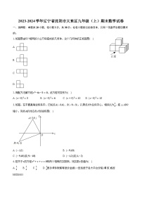辽宁省沈阳市大东区2023-2024学年九年级上学期期末数学试卷