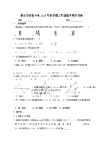 江苏省盐城市东台市实验中学2023-2024学年八年级上学期数学期末训练卷