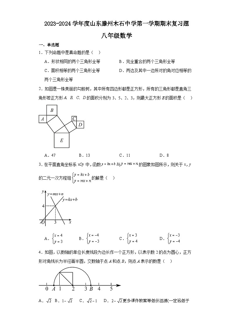 山东省 滕州市木石镇木石中学2023—2024学年上学期期末复习题八年级数学试题01
