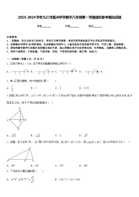 2023-2024学年九江市重点中学数学八年级第一学期期末联考模拟试题含答案