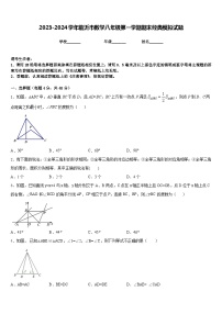 2023-2024学年临沂市数学八年级第一学期期末经典模拟试题含答案