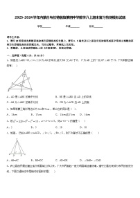 2023-2024学年内蒙古乌拉特前旗第四中学数学八上期末复习检测模拟试题含答案