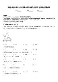 2023-2024学年七台河市重点中学数学八年级第一学期期末经典试题含答案