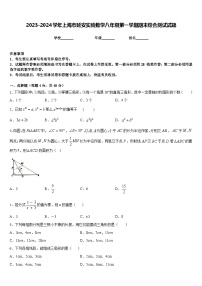 2023-2024学年上海市延安实验数学八年级第一学期期末综合测试试题含答案