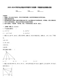 2023-2024学年中山市重点中学数学八年级第一学期期末监测模拟试题含答案