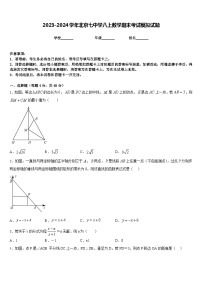 2023-2024学年北京七中学八上数学期末考试模拟试题含答案