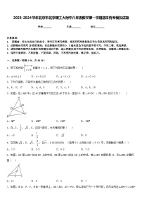 2023-2024学年北京市北京理工大附中八年级数学第一学期期末统考模拟试题含答案