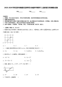 2023-2024学年北京市西城区北京师范大附属中学数学八上期末复习检测模拟试题含答案