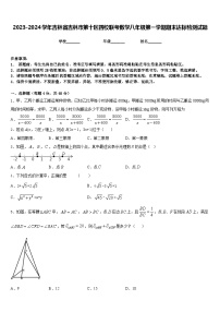 2023-2024学年吉林省吉林市第十区四校联考数学八年级第一学期期末达标检测试题含答案